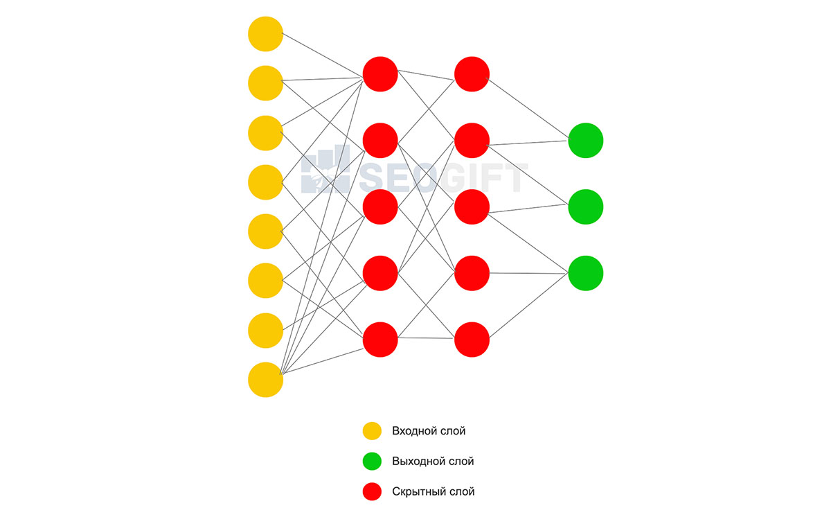 Пример структуры нейронной сети